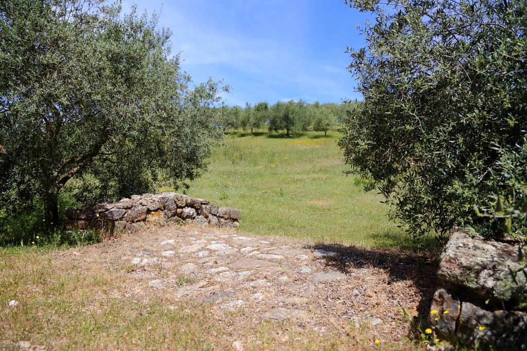 B&B Nuraximannu Santadi Dış mekan fotoğraf