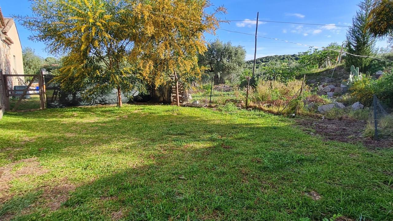 B&B Nuraximannu Santadi Dış mekan fotoğraf